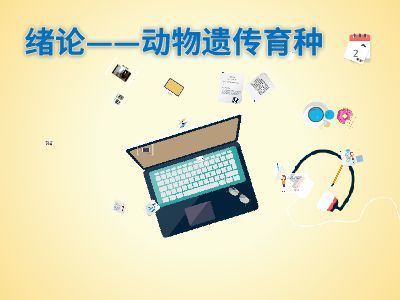 緒論 軟件設計制作——從概念到成品的藝術與工程